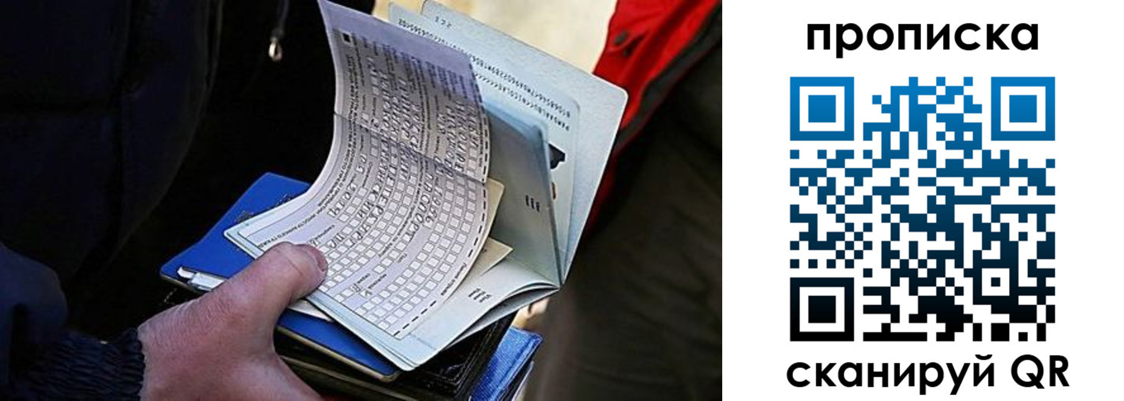временная регистрация адрес в Благовещенске